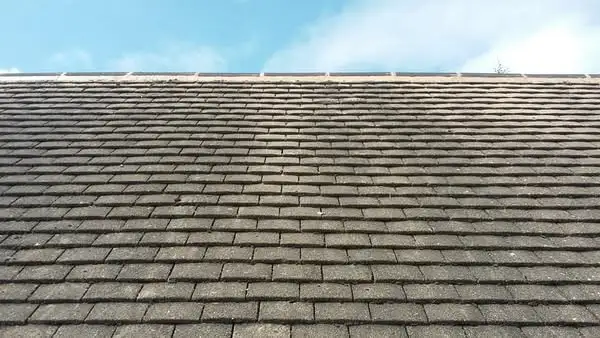 Featured image for “When does my Roof need to be replaced?”